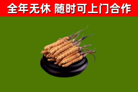 古镇镇烟酒回收冬虫夏草.jpg